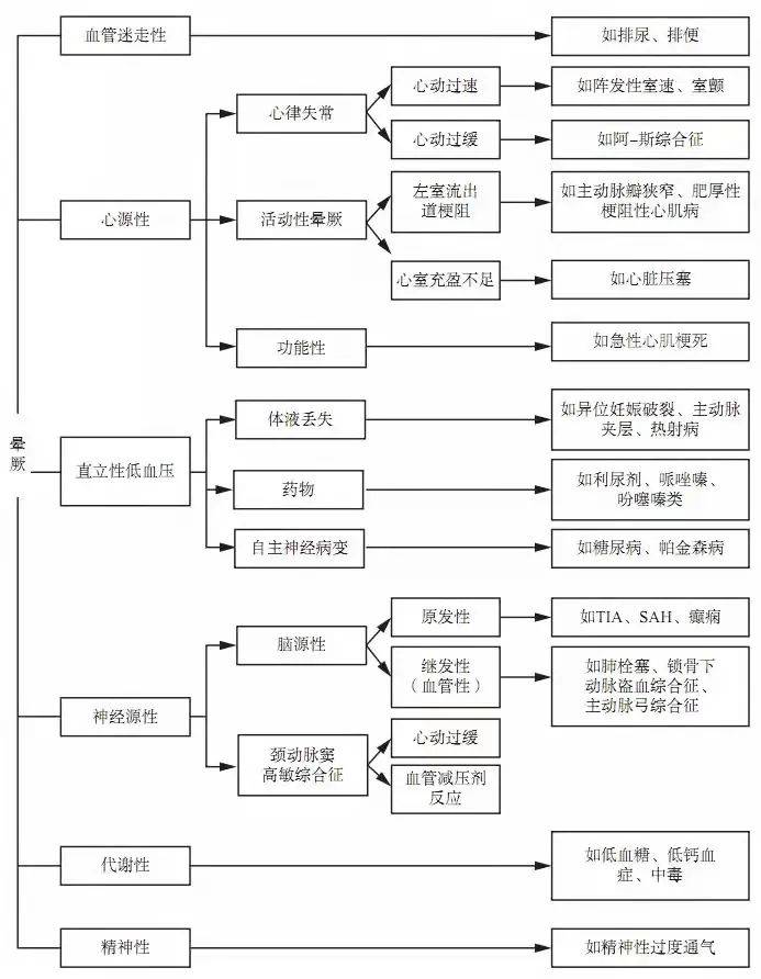 777778888王中王最新,探索数字背后的秘密，揭秘王中王与最新777778888现象