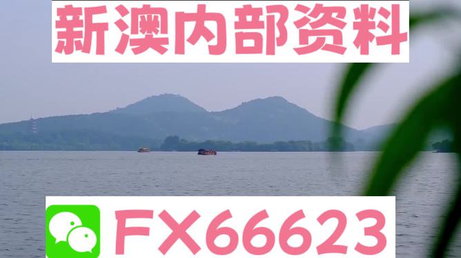 2024新澳资料免费精准051,新澳资料免费精准解析——探索未来的关键所在（关键词，新澳资料、免费精准、精准解析）