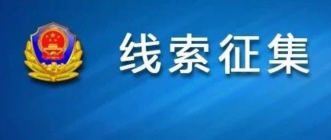 澳门正版资料免费大全新闻——揭示违法犯罪问题,澳门正版资料免费大全新闻——深入揭示违法犯罪问题的现实与应对