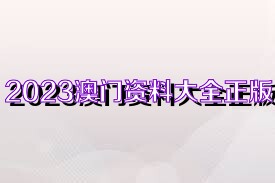 2025香港资料大全正版资料图片,香港资料大全，探索充满活力的香港城市 2025正版资料图片一览