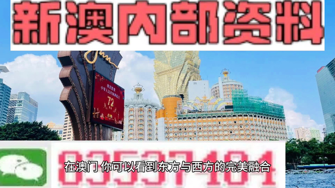 2025新澳免费资料澳门钱庄,探索未来，2025新澳免费资料与澳门钱庄的发展蓝图