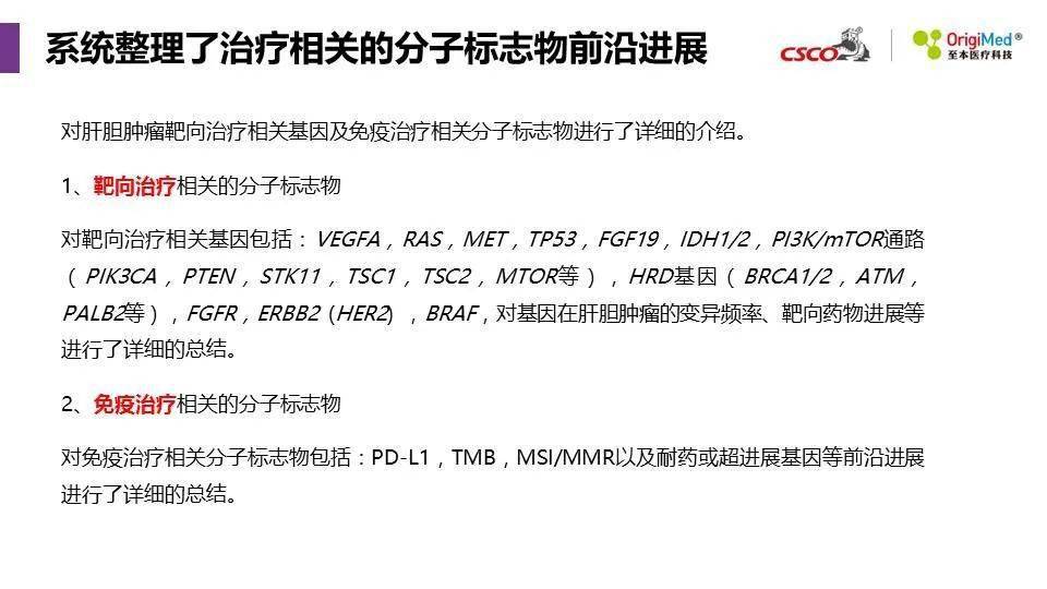 2025年新澳精准资料免费提供网站,探索未来，2025年新澳精准资料免费提供的网站