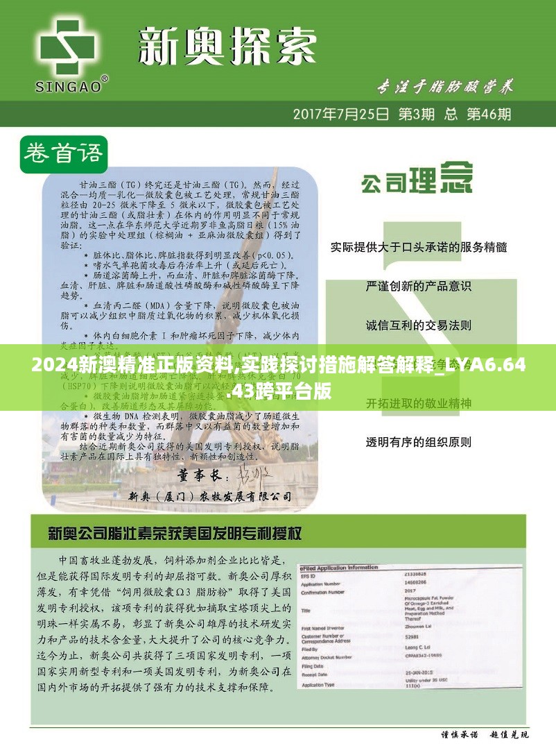 2025新奥精准正版资料,探索未来，2025新奥精准正版资料的重要性与价值