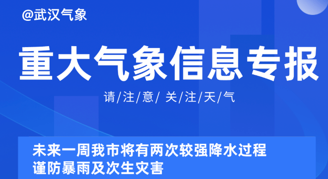 2025新奥资料免费精准051,探索未来，免费获取精准新奥资料的机遇与挑战（关键词，新奥资料、免费、精准、机遇与挑战）