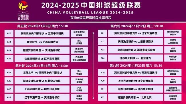 2025正版资料大全好彩网,探索未来，2025正版资料大全与好彩网的前瞻性指南