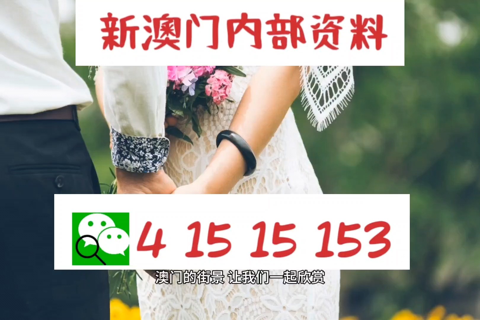 香港九龙图库彩图49今天图,香港九龙图库彩图49今天图，探索九龙魅力与多彩文化