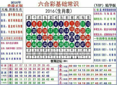 2025十二生肖49码表图,揭秘十二生肖与数字密码，2025年十二生肖49码表图解析