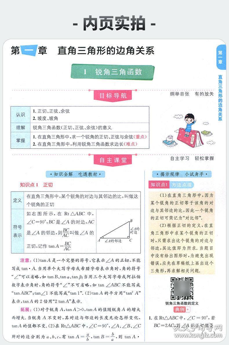 三肖三期必出特肖资料,揭秘三肖三期必出特肖资料，深度解析与探讨