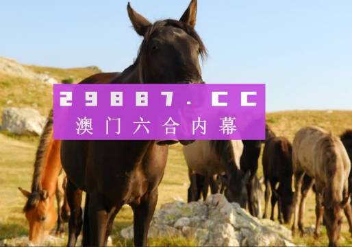 新澳门管家婆一肖一码033期 22-48-13-35-32-01T：06,新澳门管家婆一肖一码的秘密，探索数字背后的故事（第033期深度解析）