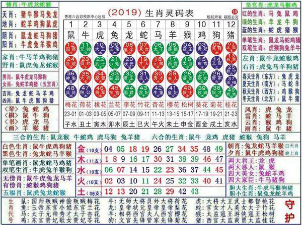 2024澳门正版资料大全资料生肖卡030期 07-15-30-31-33-36C：46,探索澳门正版资料大全——生肖卡与数字的秘密（第030期特别解析）