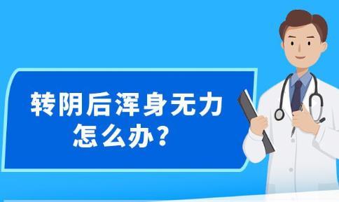 2025年2月20日 第25页