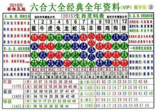 2025十二生肖49个码004期 04-49-26-19-30-44T：10,探索十二生肖的魅力，解读2025年第4期彩票的奇幻数字组合